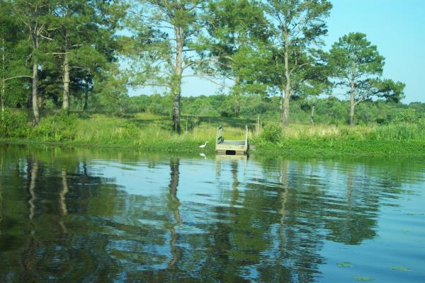 Reed Bingham State Park