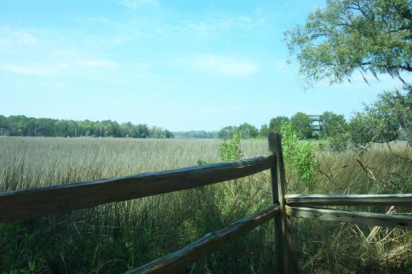 Trail through the marsh