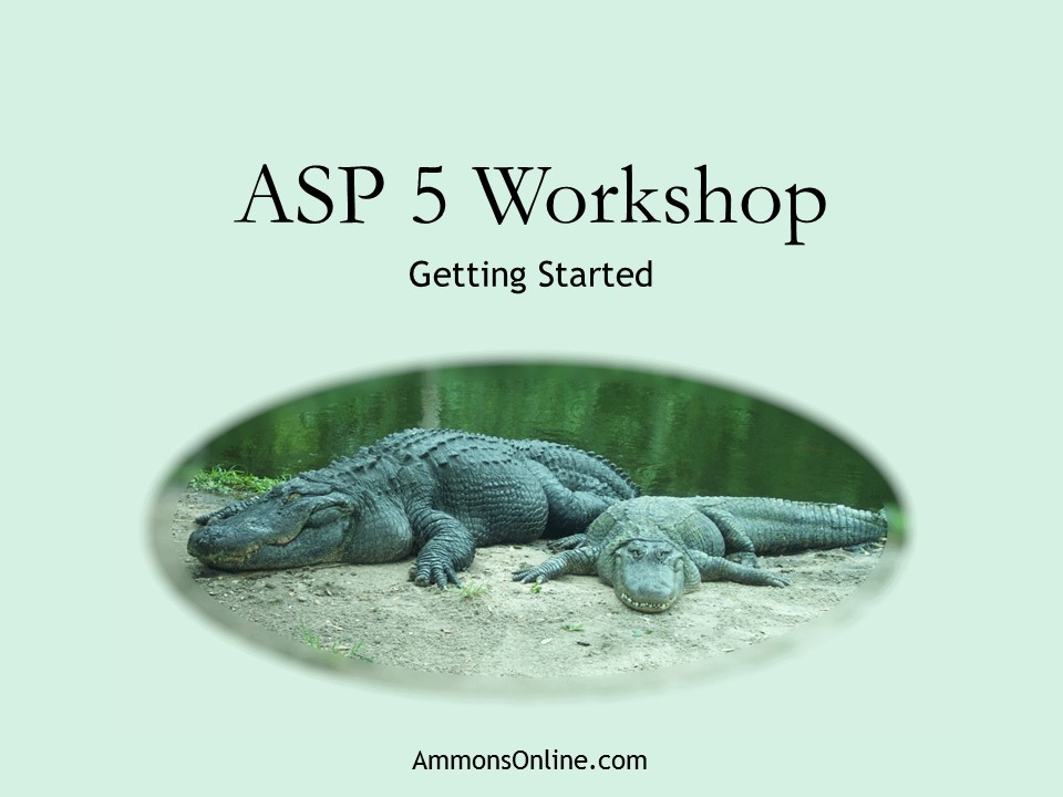 ASP 5 Workshop Cover Image