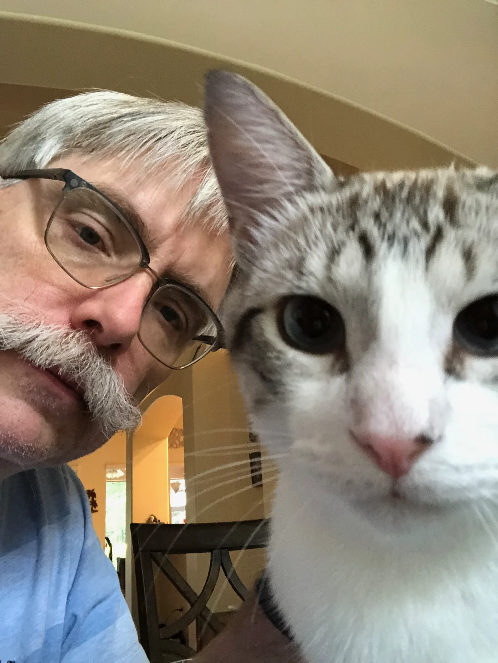 Jeff Ammons holding Zero the cat, a three-legged Siamese.